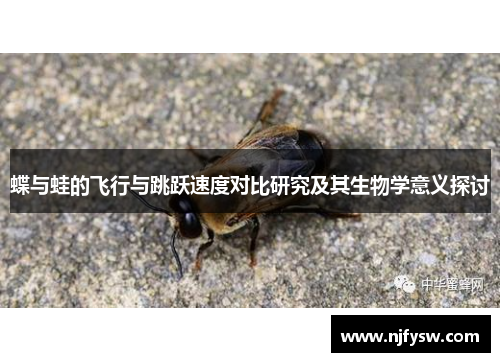 蝶与蛙的飞行与跳跃速度对比研究及其生物学意义探讨